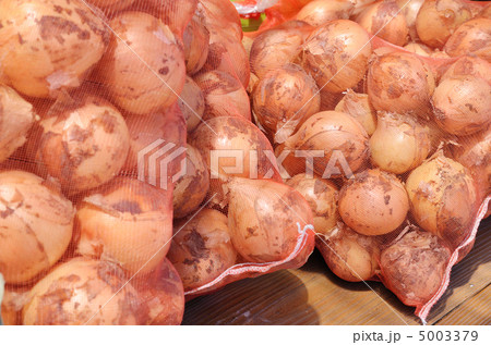 たまねぎ ネット入り たまねぎ ネット入り 5003379