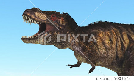 恐竜 5003675