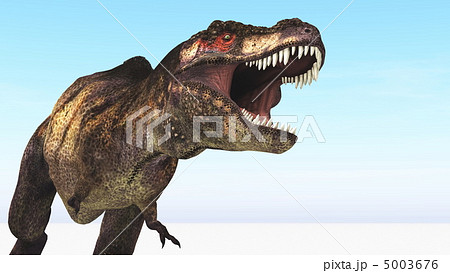 恐竜 5003676