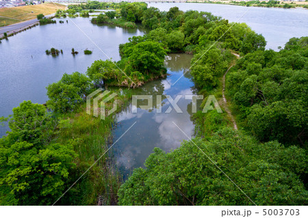 城北ワンド 5003703