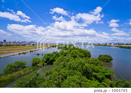 城北ワンド 5003705