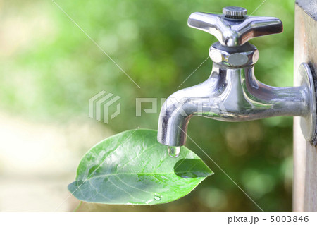 葉っぱに落ちる水 5003846
