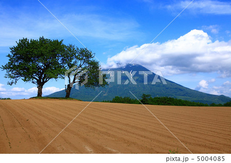 羊蹄山 羊蹄山 5004085