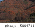 篠ノ井線　３８３系特急ワイドビューしなの 5004711