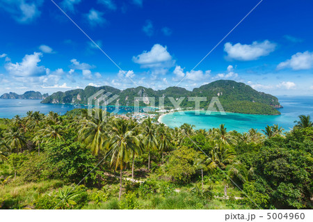 Green tropical island Green tropical island 5004960