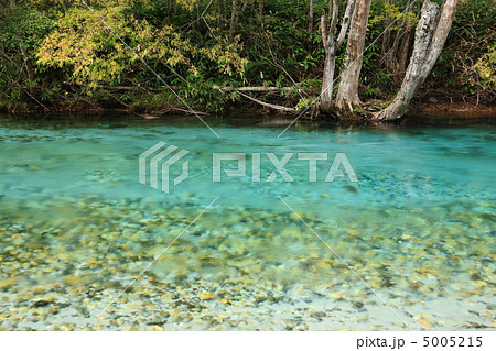 清流 梓川 清流 梓川 5005215