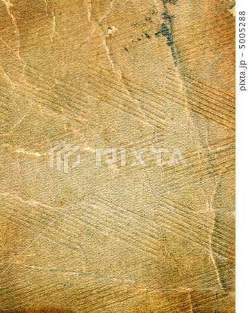 old paper 5005288