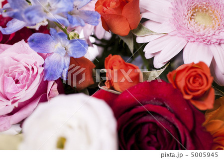flowre 5005945