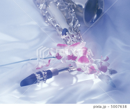 粋な小物 5007638