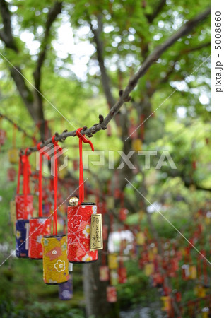 下賀茂神社の祈願 5008660