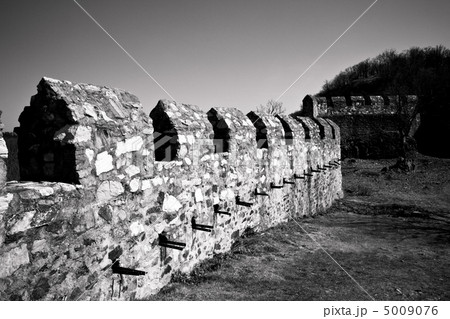 castle ruins of Cornstejn 5009076