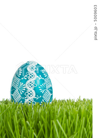 easter egg in grass 5009603