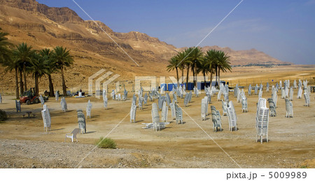 Stocked chairs in a desert Stocked chairs in a desert 5009989
