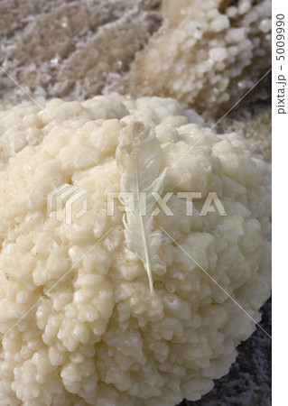 Salt stones on the Dead Sea beach Salt stones on the Dead Sea beach 5009990