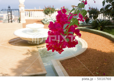 Magnificent park near to center Bahai of religion. Magnificent park near to center Bahai of religion. 5010760