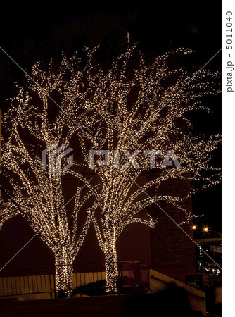 Christmas. Illuminated trees. 5011040