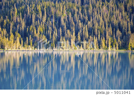 Amazing Alaska 5011041