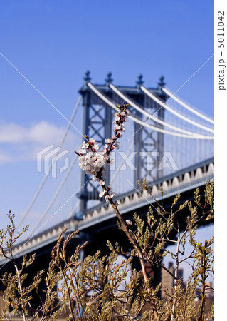 Manhattan Bridge. New York 5011042
