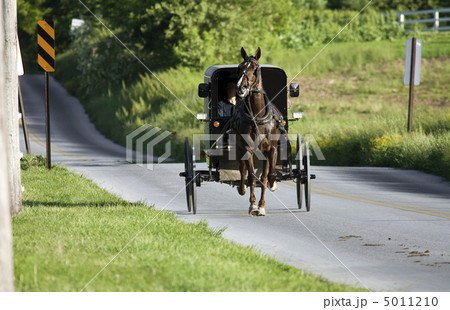 Horse with the carrige running to the village 5011210