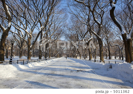Central Park, New York. Beautiful park in beautiful city. Central Park, New York. Beautiful park in beautiful city. 5011362