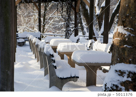 Central Park, New York. Beautiful park in beautiful city. 5011376