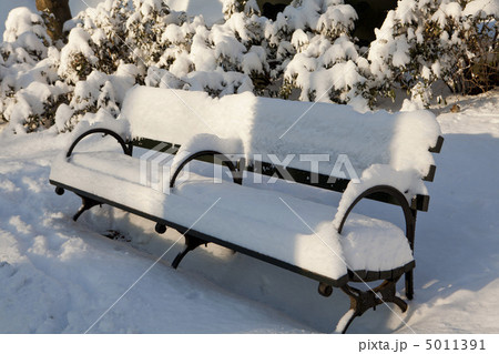 Central Park, New York. Beautiful park in beautiful city. 5011391