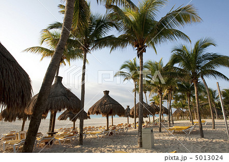 Beautiful Caribbean beach Beautiful Caribbean beach 5013024