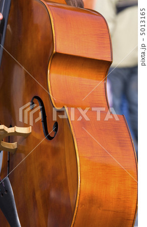 Contrabass Contrabass 5013165