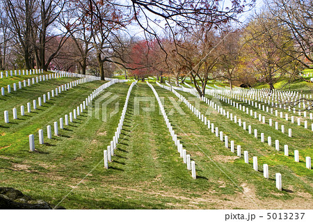 Arlington Cemetery. Washington DC 5013237