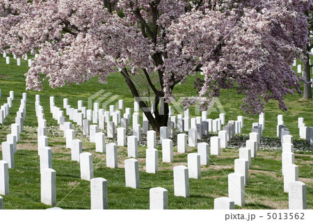 Arlington National Cemetary Arlington National Cemetary 5013562