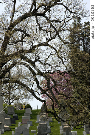 Arlington National Cemetary 5013563