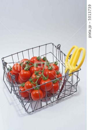 房採り完熟トマト 5013739