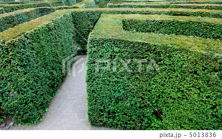 Garden Labyrinth Garden Labyrinth 5013836