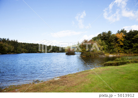 Forest pond 5013912