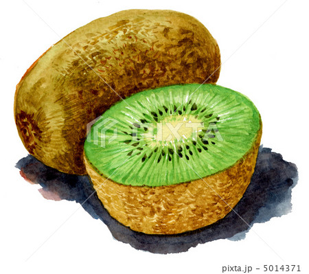 kiwi-fruit12621pix 5014371