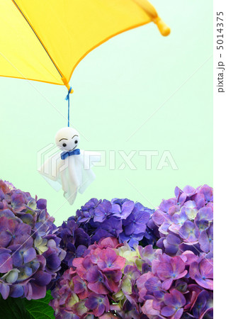 照る照る坊主と紫陽花 5014375