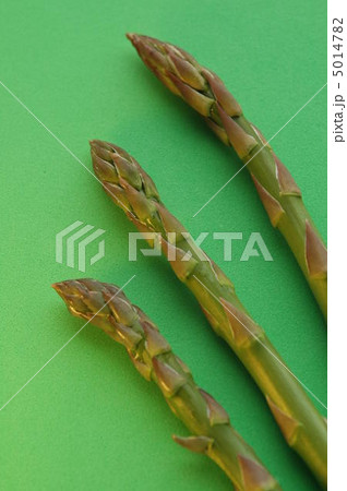 アスパラ 5014782
