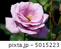 ブルーライト 5015223