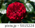 イングリットウェイブル 5015228
