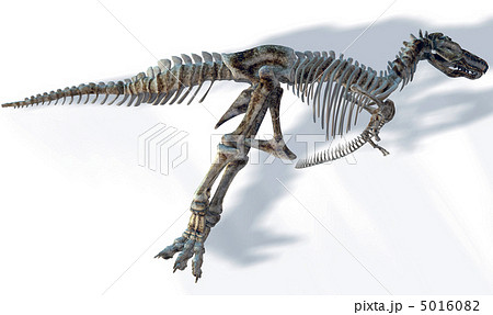 T-REX Bone☆ティラノサウルス 5016082