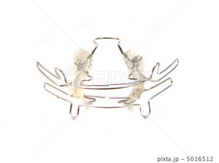 braces (orthodontic tool) 5016512