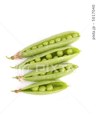 peas 5017040