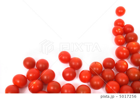 red tomatoes 5017256