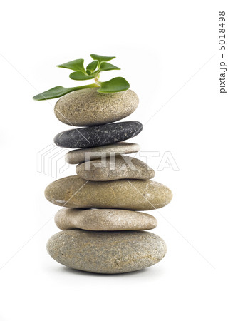 Green Life - balanced stone tower with plant 5018498