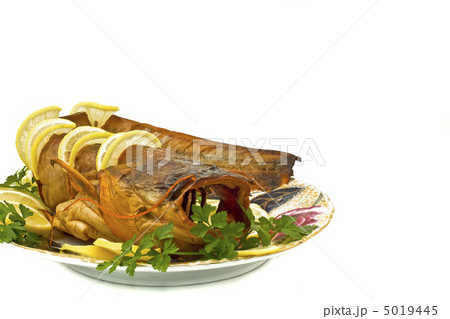 Shore dinner - bloated fresh-water catfish 5019445