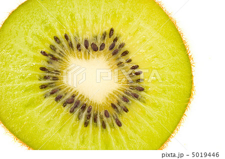 Tasty, green and fresh - kiwi fruit slice Tasty, green and fresh - kiwi fruit slice 5019446
