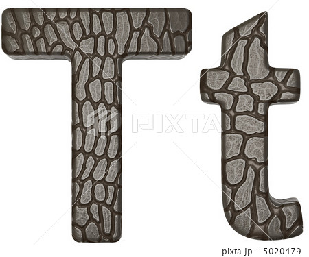 Alligator skin font T lowercase and capital letters 5020479