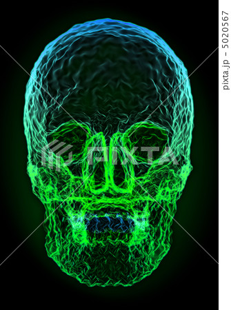 Abstract colorful skull shape 5020567