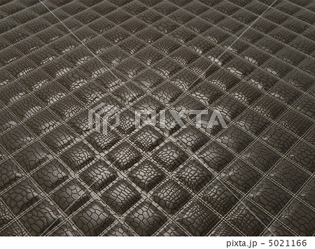 Fashion background: Alligator stitched black skin Fashion background: Alligator stitched black skin 5021166