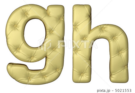 Luxury beige leather font G H letters 5021553